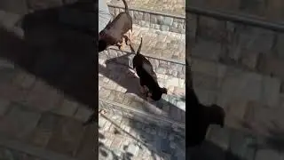 Медленно, но верно.