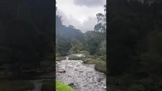 God creation