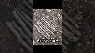 How to Build a Campfire in 7 Easy Steps #camping #survival #bushcraft #wildcamping #shorts