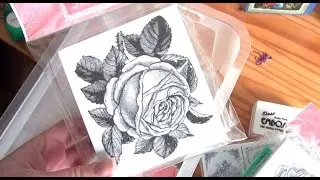 Vlog: 27.8.2015 / Stempelei