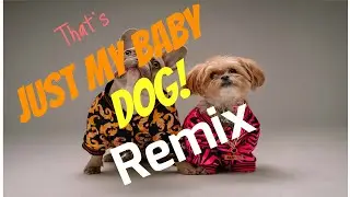 That's just my baby dog (TikTok)