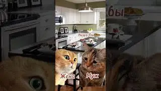 #отношения #юмор