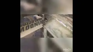 Лечу головастика.