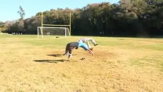 Slo Mo
