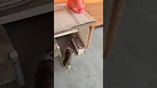 23 декабря 2023 г.