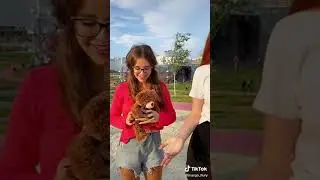 Маргарита Дьяченкова (TIK-TOK) #SHORTS #короткие видео