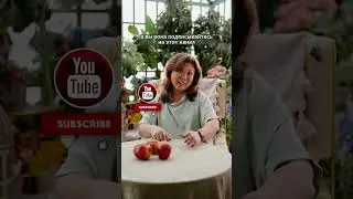 Тянь-Шань под Ташкентом?