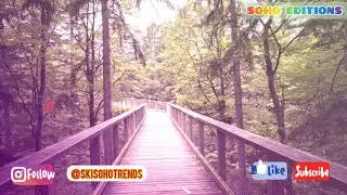Old School Jungle Music Beats | Background Music | SOHO EDITIONS