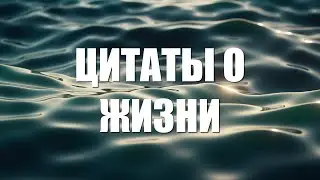 Цитаты о смысле жизни (Коротко о главном)