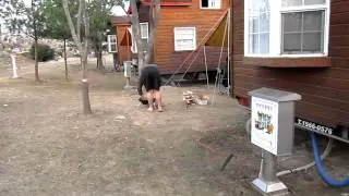 Stealing Fire From Koreans