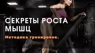 Секреты роста мышц. Как быстрее набирать мышечную массу? Почему к приседу нужен мостик?