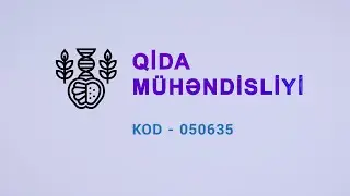 Qida mühəndisliyi