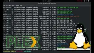Plex Media Server Remote Update