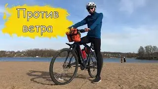 В Красное село через Пушкин