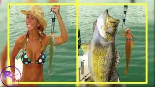 Hilarious Photoshop Trolls Ever
