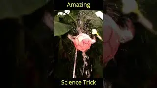 Amazing Science Experiment #shorts