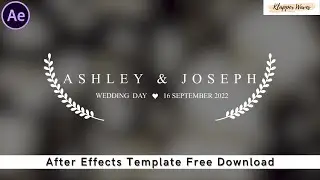Lovely Wedding Titles - Free Download After Effects Templates