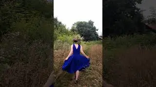 Blue birds fly Sadlyne 