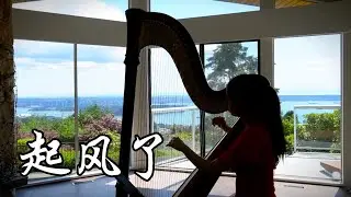 竖琴版《起风了》一份迟到的祝福送给毕业季的你