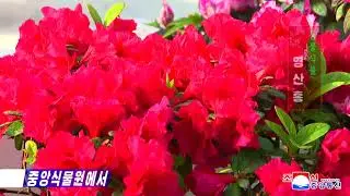 Pyongyang Central Botanical Garden