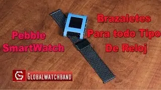 GlobalWatchBand Brazalete Mesh 22MM (Pebble SmartWatch)
