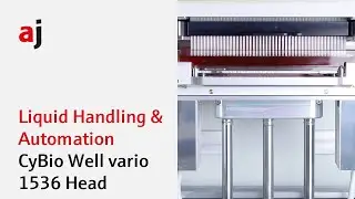 CyBio Well vario 1536 Head