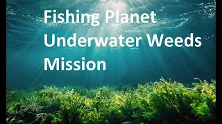 Fishing Planet   Underwater Weeds Mission