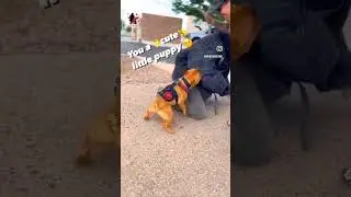 ЖЕСТЬ🤯🤯🤯СЛАБОНЕРВНЫМ НЕ СМОТРЕТЬ🆘🆘🆘