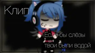 [🎄✨]Слёзы[🎄✨]Клип[🎄✨]Gacha life[🎄✨]