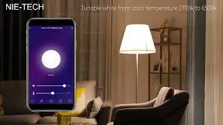 Smart Home Factory View——EVA LOGIK
