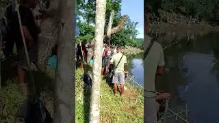 Fishing competition tebonggre // any pm tv #Short video