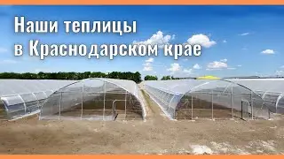 Тепличный комплекс в Краснодарском крае (июнь 2022)