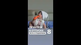 Прикорм в отпуске