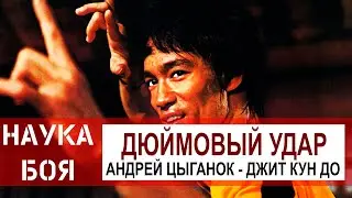 Дюймовый удар Брюса Ли. Зачем он и как его бить! Альберта бьют!