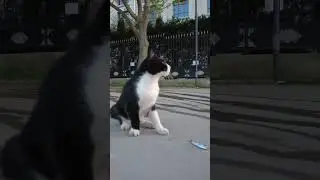 Ситуация #стамбул