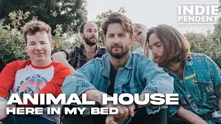 Animal House - Here In My Bed