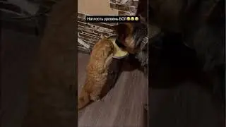 Чуня стал героем передачи😃 смотрите завтра на первом 