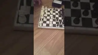 2 Дебила играют в шахматы на протяжении полутора минут #мемы