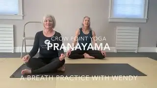 Yoga Over 60 /Senior Yoga -  Pranayama with Wendy