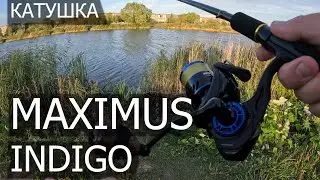 Катушка MAXIMUS INDIGO - УДАЧНЫЙ ДЕБЮТ