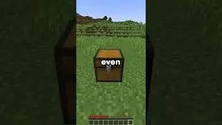 I spawned every single mob (WORMHOLE DAY 6)