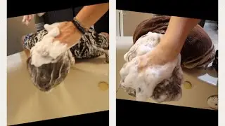 ASMR | Hair Washing of 2 People | Tons of Lather | Super Soapy | Extended Shampoo