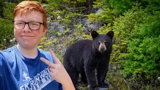 I Fought a Bear