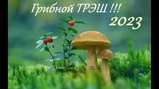 Грибной трэш!!! Грибалка 2023!!!