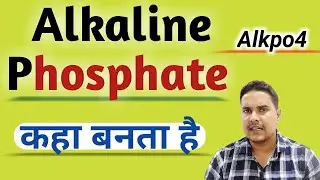 Alkaline phosphatase | Alkaline phosphatase test in hindi
