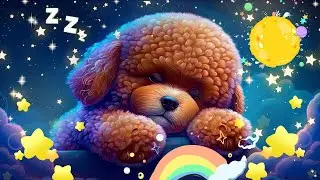 Baby Sleep Music, Lullaby for Babies To Go To Sleep - Mozart for Babies Intelligence Stimulation