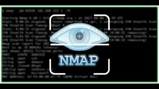 Nmap Vulnerability Scan Demo | Basic Network Security Analysis using Kali Linux (Beginner Friendly)