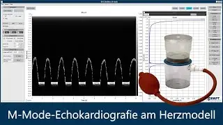 M-Mode-Echokardiografie am Herzmodell