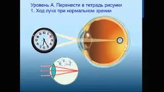 Глаз как оптическая система