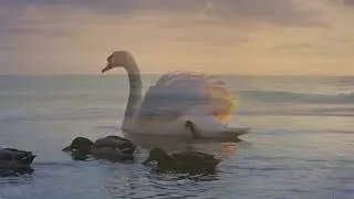 Густав Малер - Адажиетто, симфония No 5   -  G  Mahler -  Symphony № 5, Adagietto